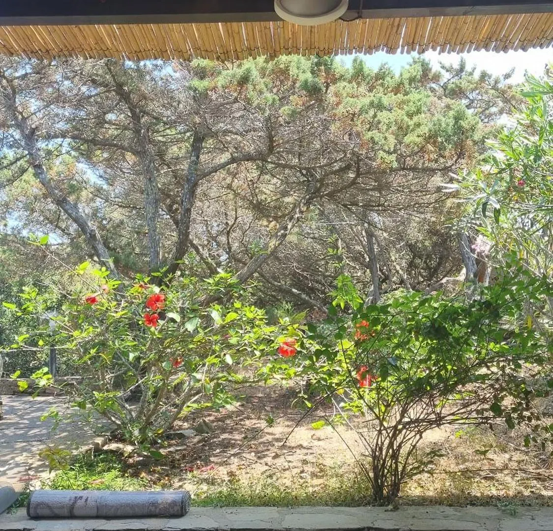 Casa vacanze Villetta indipendente immersa nel verde Stintino